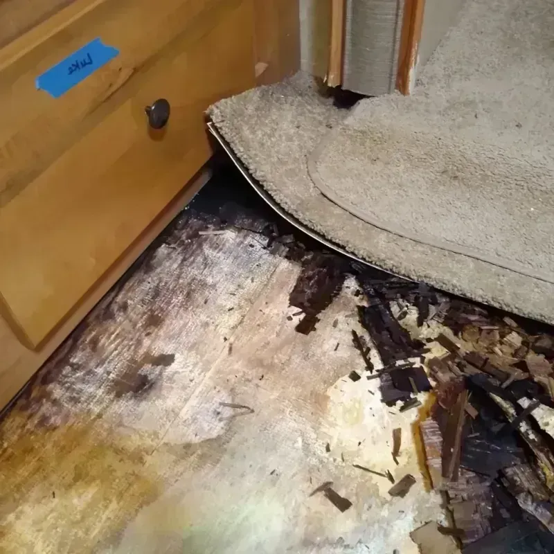 Wood Floor Water Damage in Stryker, OH